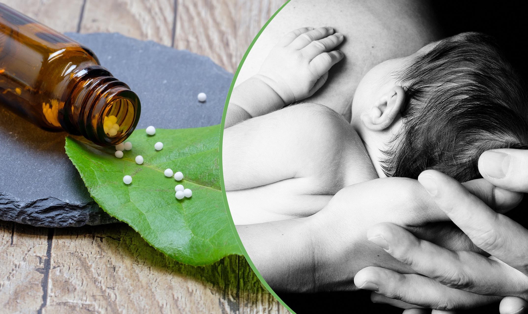Ricinus communis aneb Homeopatika na kojení pod lupou